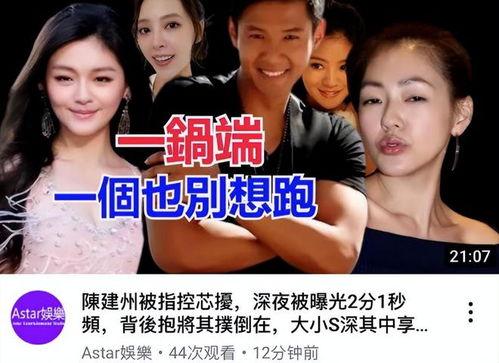 大s视频爆料,娱乐圈背后的惊人真相