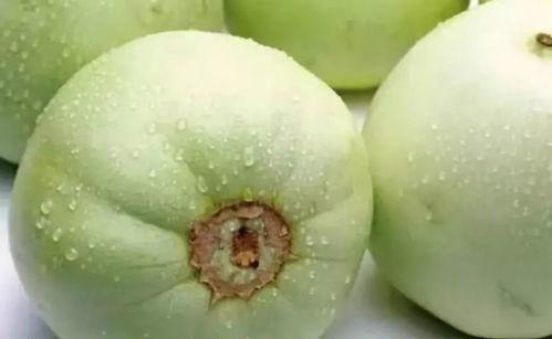 网红吃瓜猛料黄料事件,黄料事件背后的真相与反思