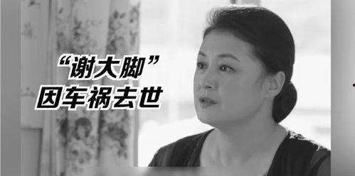 娱乐圈的瓜vs我吃的瓜